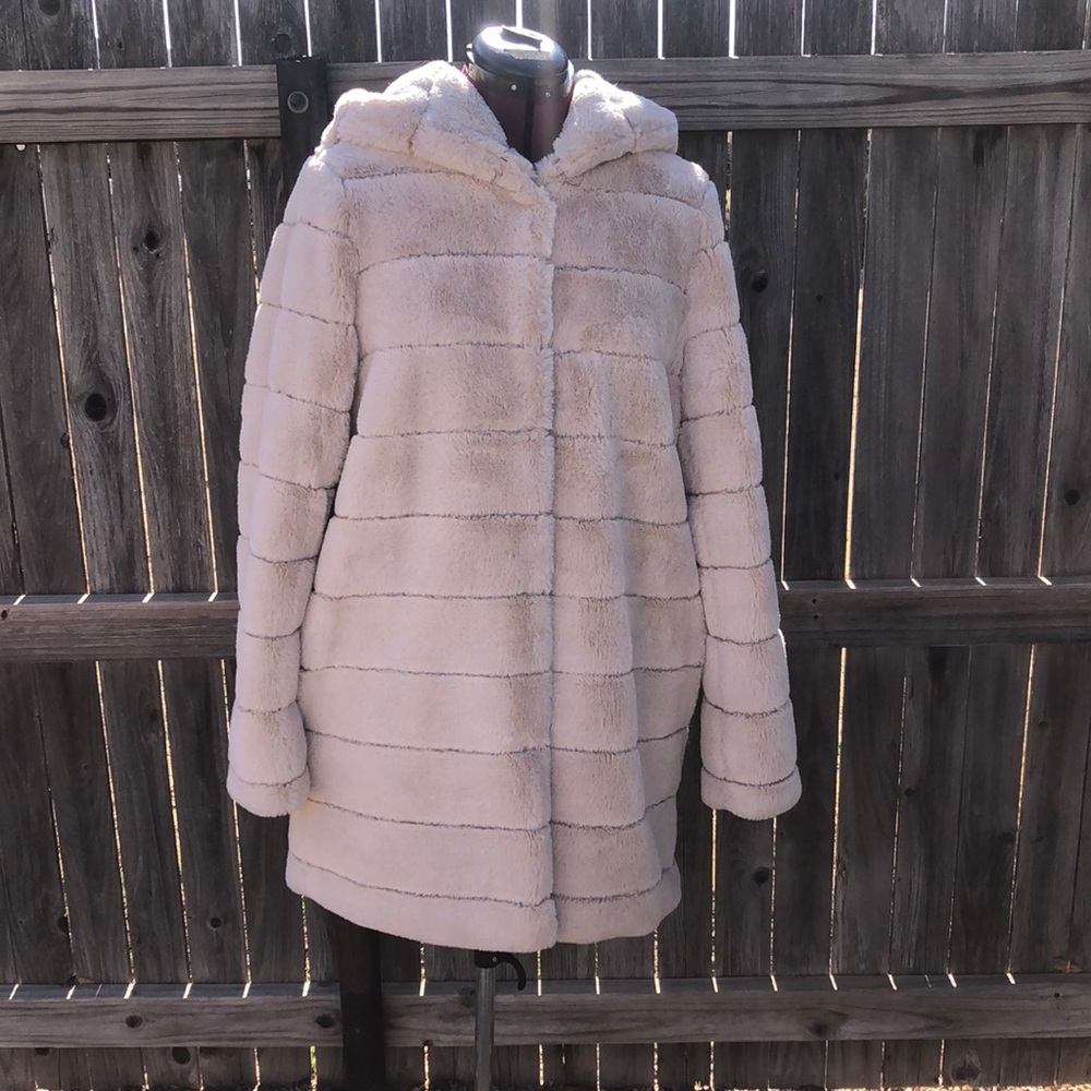 Beautiful Jacket - image 1